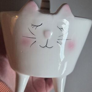 Pier 1 White Ceramic Planter